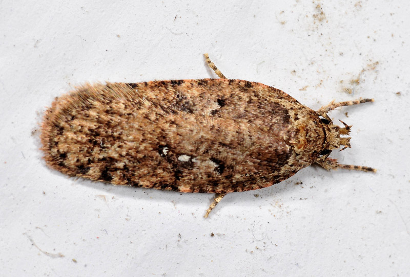 Micro riparate in casa